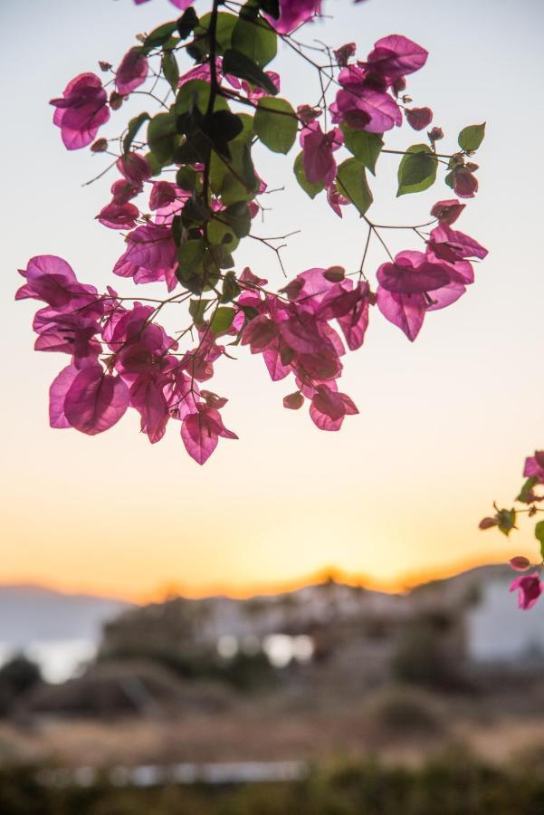 Island House Mare Apartment Mylopotas
